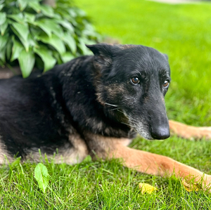 Fundraising Page: Ricardo Morales